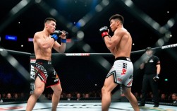 帕什波林凭什么能打赢江佟猜？