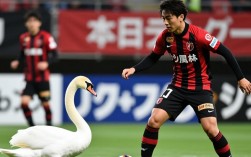 新泻天鹅甲府风林谁赢了？最新比赛结果和关键球员表现如何？