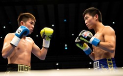 邹市明vs木村翔谁赢的？比赛结果争议大吗？