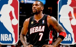 韦德总决赛图片有哪些经典瞬间值得珍藏？