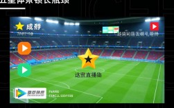 五星体育直播为什么卡顿不流畅？解决方法是什么？