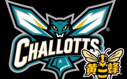 山猫队为何要改名为黄蜂队？背后原因是什么？