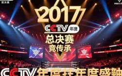 cctv2017总决赛
