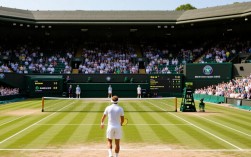 2017温网决赛具体时间是几点？直播安排在哪个频道？