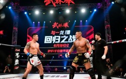 4月1日武林风一龙比赛结果如何？他赢了吗？