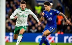 利兹联vs莱切斯特城谁赢了？今日比分结果速看