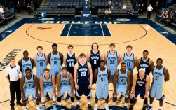 2010年灰熊阵容图有哪些核心球员及战术打法？