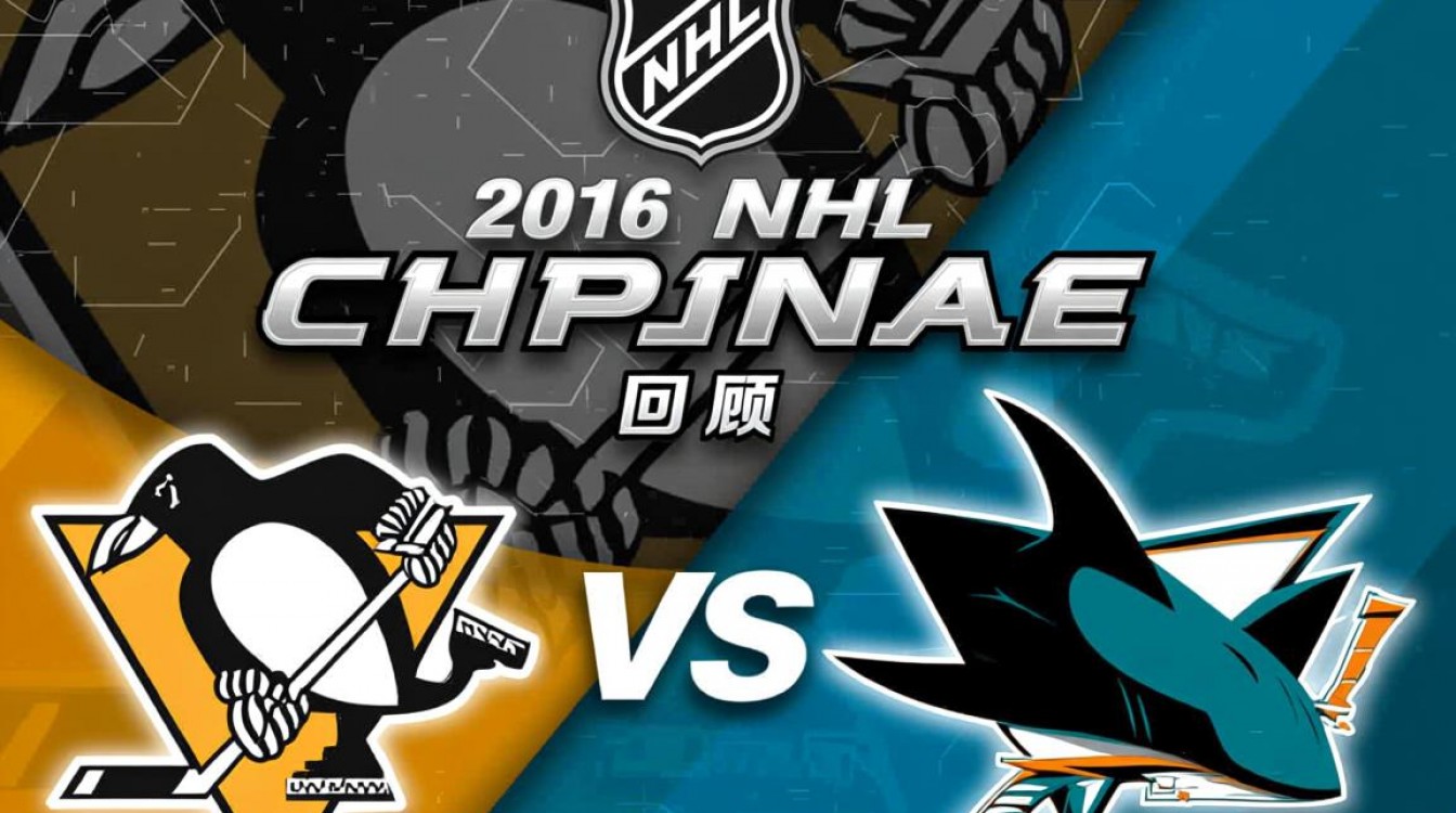 2016NHL总决赛是哪支球队夺冠的?-图3 2016NHL总决赛是哪支球队夺冠的?-图3